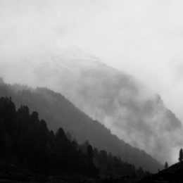 Obraz Černobílý obraz hor s mlhou a stromy