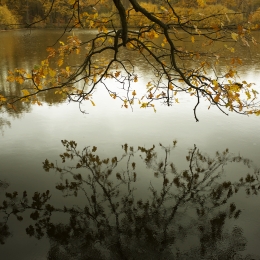 Obraz Podzim u vody